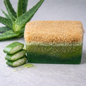 Aloe Vera Özlü Kabak Lifli Sabun